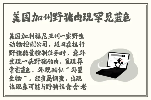 99热精国产这里只有精品